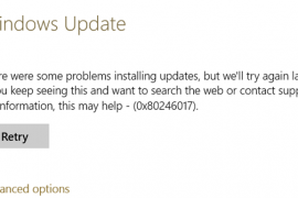How to fix error 0x80246017 in Windows 10?