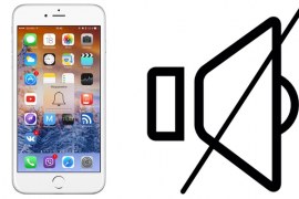 What to do if the iPhone does not work