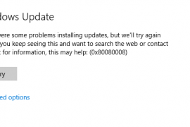 How to fix Windows Update 0x80080008 error?