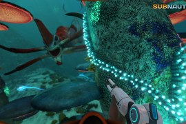 What to do when Subnautica crashes on launch?
