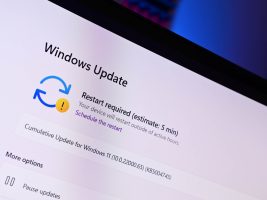 Disable Windows 11 Updates